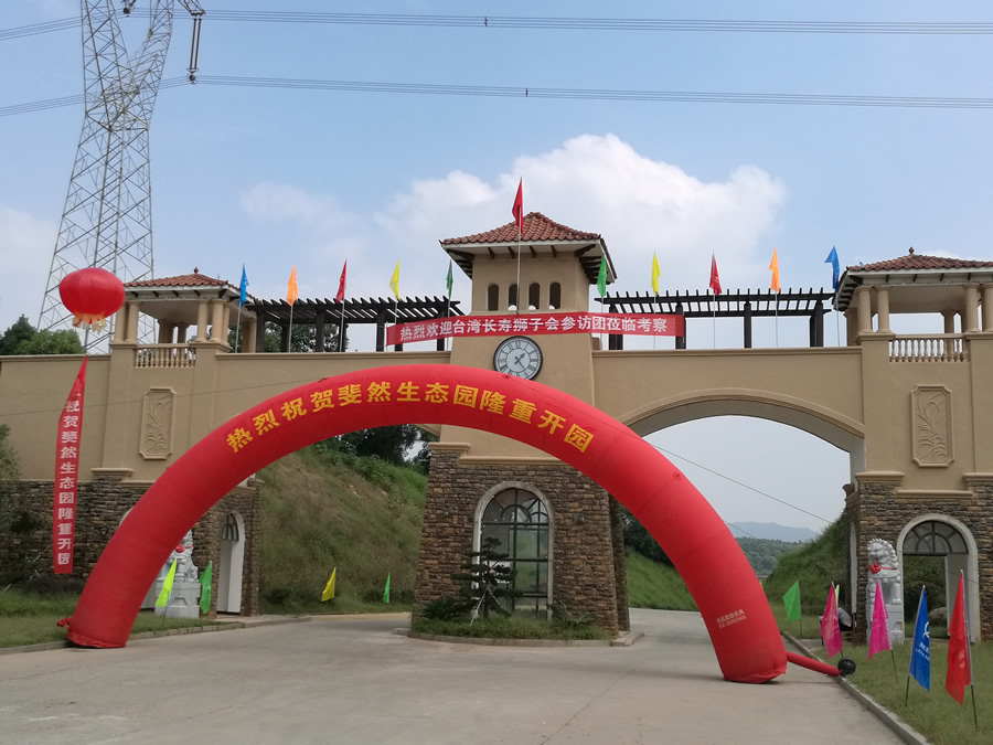 集团派员赴我省兄弟地市发展文化游览节庆活动调研