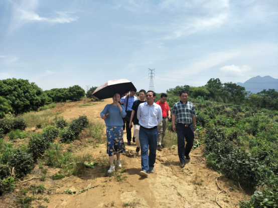 环球360官网集团赴庐山&middot;东林精舍实地调查