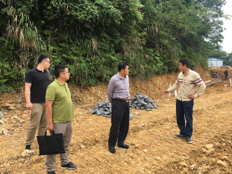 市环球360官网集团辅导调查武宁房车营地项目